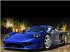 saleen-s7-front-1_50.jpg